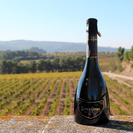 La Capella con los viñedos de telón de fondo