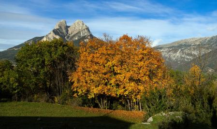 Otoño con vistas al Pedraforca.