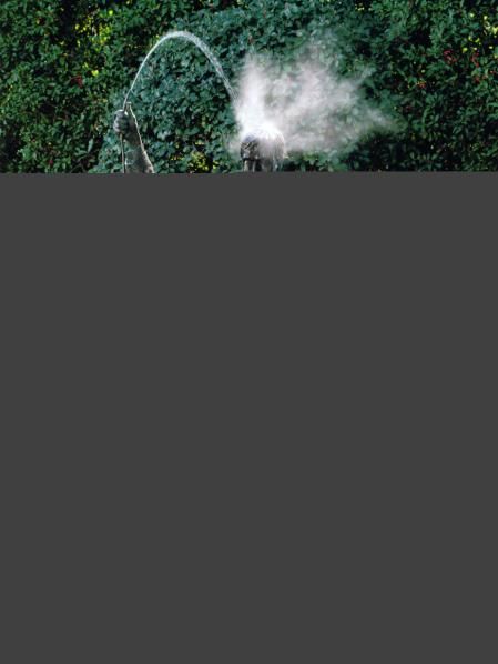 'Autorettrato. Mi fuma il cervello, 1993-1994', de Alighiero Boetti, uno de los artistas más cotizados entre los 'Poveri'