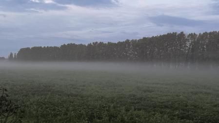 Amanecer con niebla baja en los campos de Palamós.