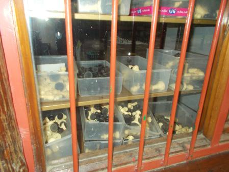 Parque de El Retiro.