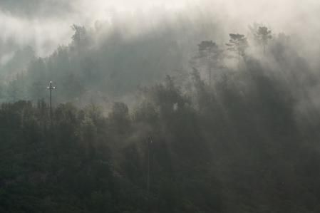 Niebla en El Sot del Moianès.