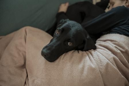 La temperatura corporal, la frecuencia respiratoria y el ritmo cardíaco son señales vitales que nos dicen mucho sobre su salud