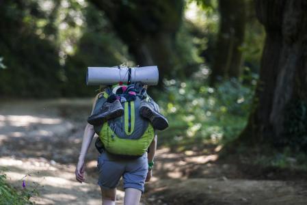 Peregrinodel Camino de Santiago&nbsp;