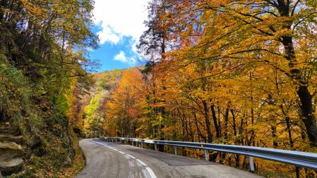 Carretera de la Fageda del Capsacosta en otoño.
