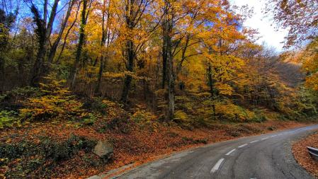 Carretera de la Fageda del Capsacosta en otoño.