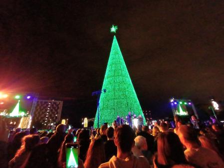 El árbol iluminado en la plaza del President Tarradellas .