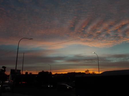 Candilazo envuelve al árbol de Navidad