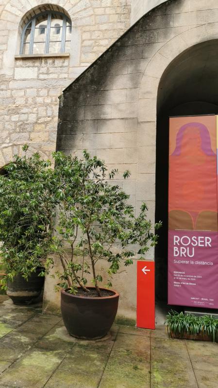 Exposición 'Roser Bru. Superar la distància'.