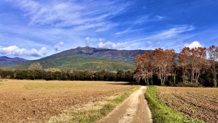 Sant Esteve de Palautordera.