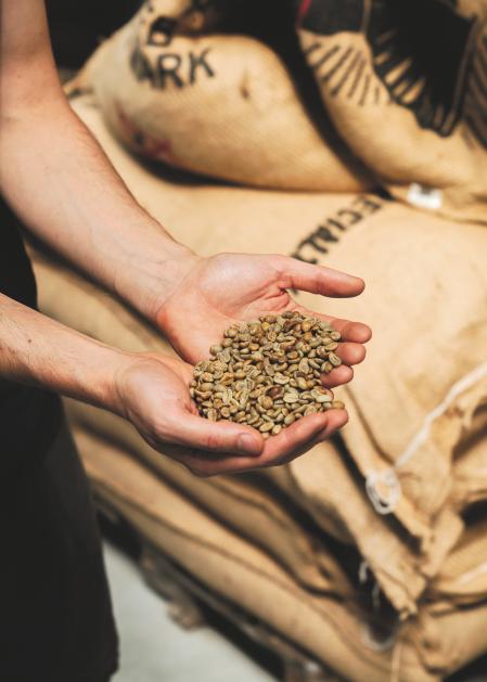 El grano del café, un producto tratado con mimo en pequeñas fincas de todo el mundo