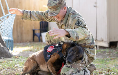 El perro reconoció rápidamente al sargento May
