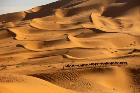Sahara. REUTERS/Darrin Zammit Lupi