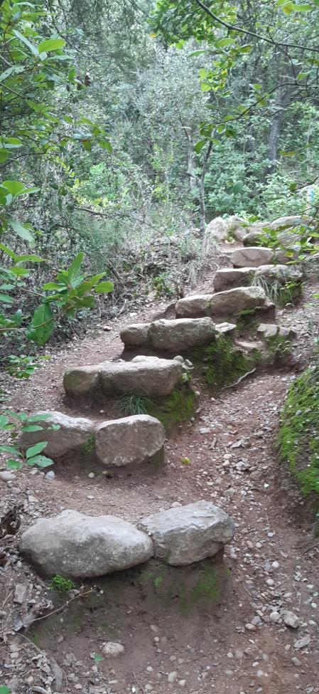 El pou de glaç de la Portella.