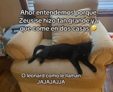 Ese es el motivo de su crecimiento