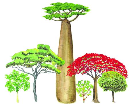 Acuarela de Concha Pasamar para el  poemario del escritor asturiano Javier Sobrino ‘Plantar el mundo’