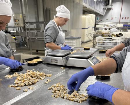 Procesado del berberecho