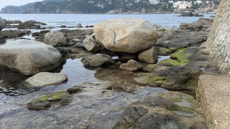 Las 'minves o calmes de gener' en la costa de Calella de Palafrugell, en diciembre.