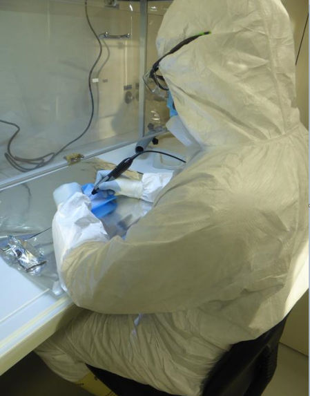 El investigador Darío Ramirez analizando una de las muestras