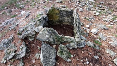 Dolmen de Sant Amanç