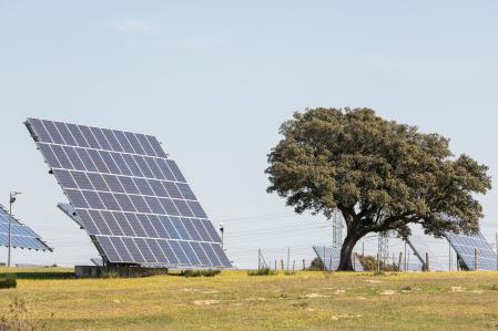 Paneles solares en Almaraz