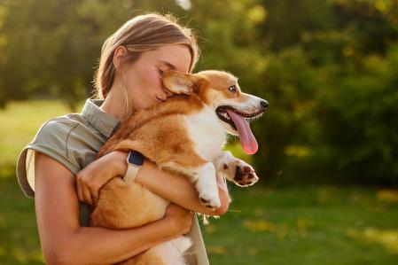 Los corgis son perros de apoyo emocional por su forma de ser