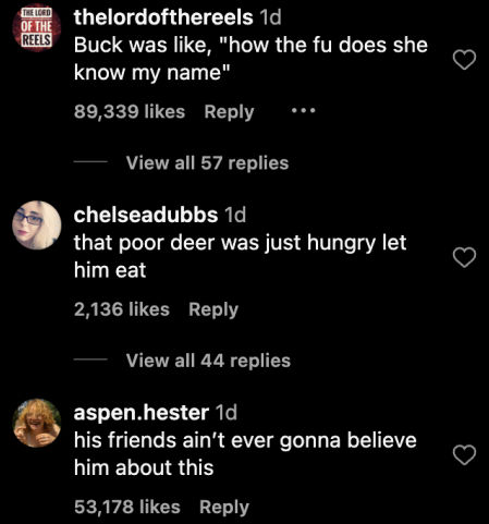 El animal no solo detuvo su banquete, sino que también pareció considerar el mensaje