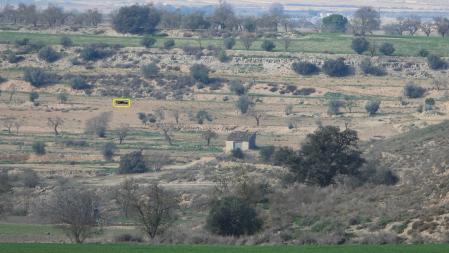 Solución al Reto visual de la aguililla.