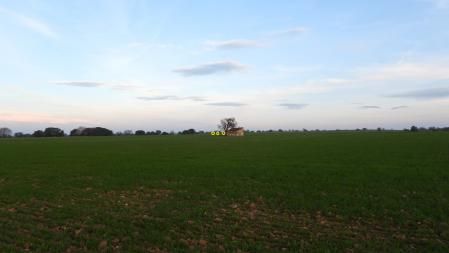 La posición de los tres corzos señalizada.