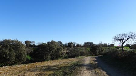 Solución al Reto visual de los dos corzos.