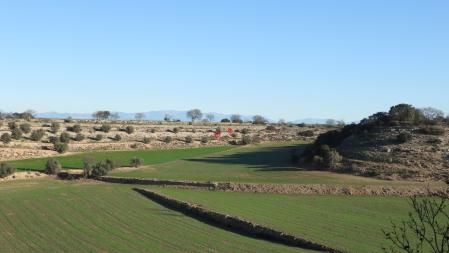 Solución al Reto visual de los dos cazadores.