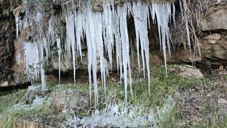 Afilados carámbanos en la Font del Collet.
