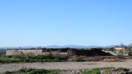 Reto visual: ¿Eres capaz de encontrar a la abubilla?