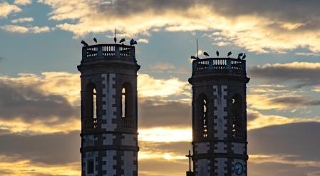Las cigüeñas de paso por la iglesia de Olost.