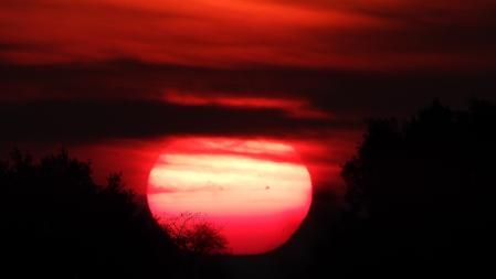 Puesta de sol en Altet.