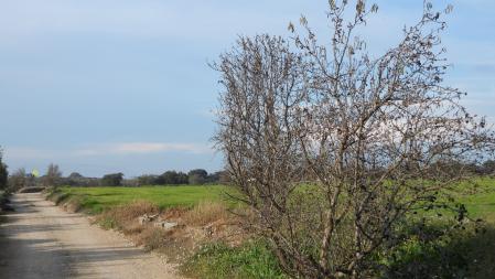 La solución al Reto visual con la posición del milano real señalizada.