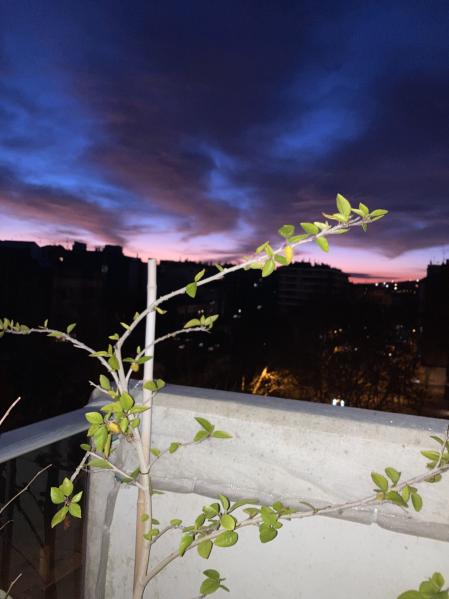 El crepúsculo visto desde el balcón de casa, en Barcelona.