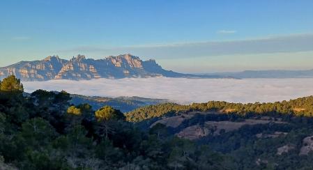 Niebla a los pies de Montserrat visto desde la Serra de l'Obac.