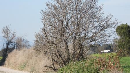 Reto visual: ¿Dónde está el mosquitero?