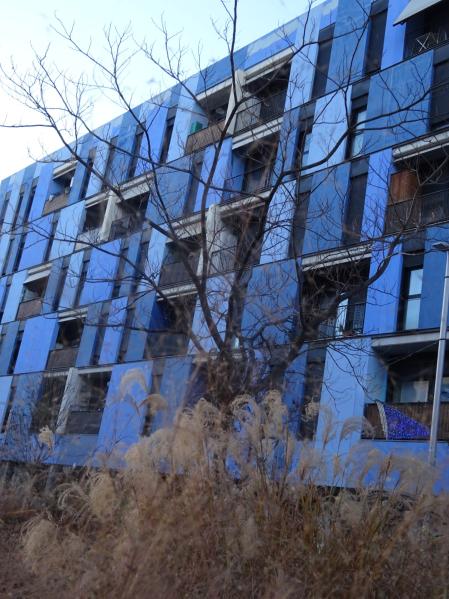 Vegetación en la calle Almogàvers.