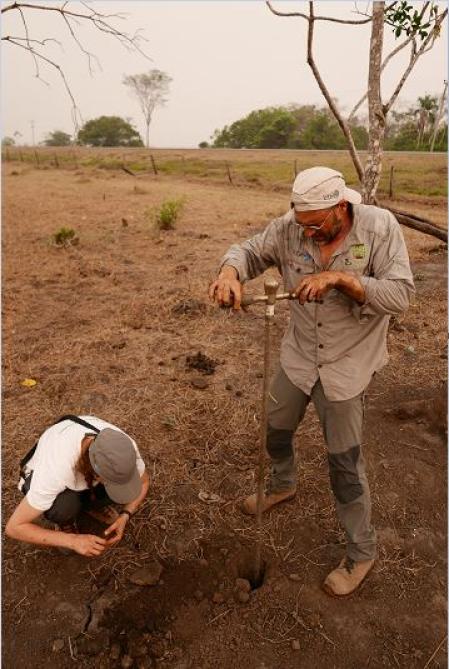 Los investigadores estudiaron microfósiles de plantas y polen de un estanque