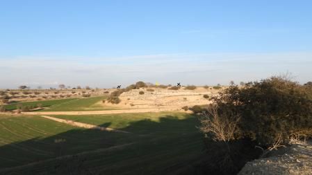 La posición del busardo aparece señalizada de color amarillo.