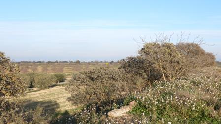 La posición del águila señalizada.