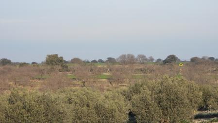 Solución al Reto visual, con la posición del águila señalizada.
