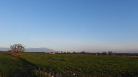 Solución al Reto visual del pájaro triguero, que aparece señalizado en la imagen.