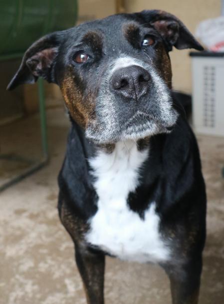 Los expertos estiman que le quedan unos seis meses de vida