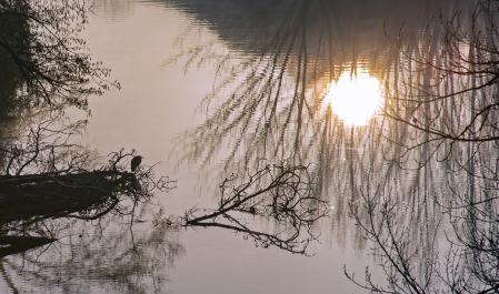 Les Masies de Voltregà.