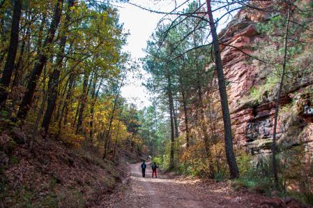 Numerosas rutas senderistas unen los parajes más atractivos del parque