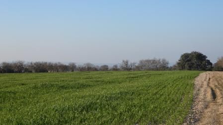 Reto visual: ¿Puedes localizar a los dos conejos en esta imagen?