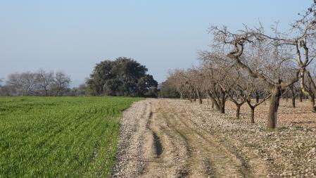 Reto visual: ¿Puedes ver a los dos conejos que aparecen en esta fotografía?